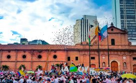 Paro Nacional Banner.jpg
