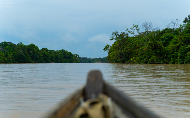 Convocatoria Fondo para la Investigación Pacífico colombiano