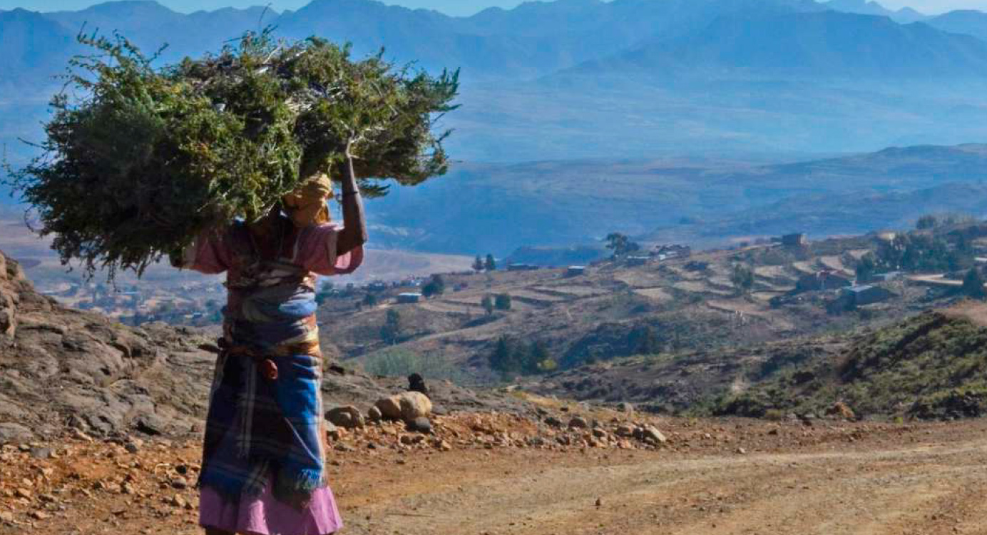 Imagen destacada - Más allá del discurso: género y clima en acción