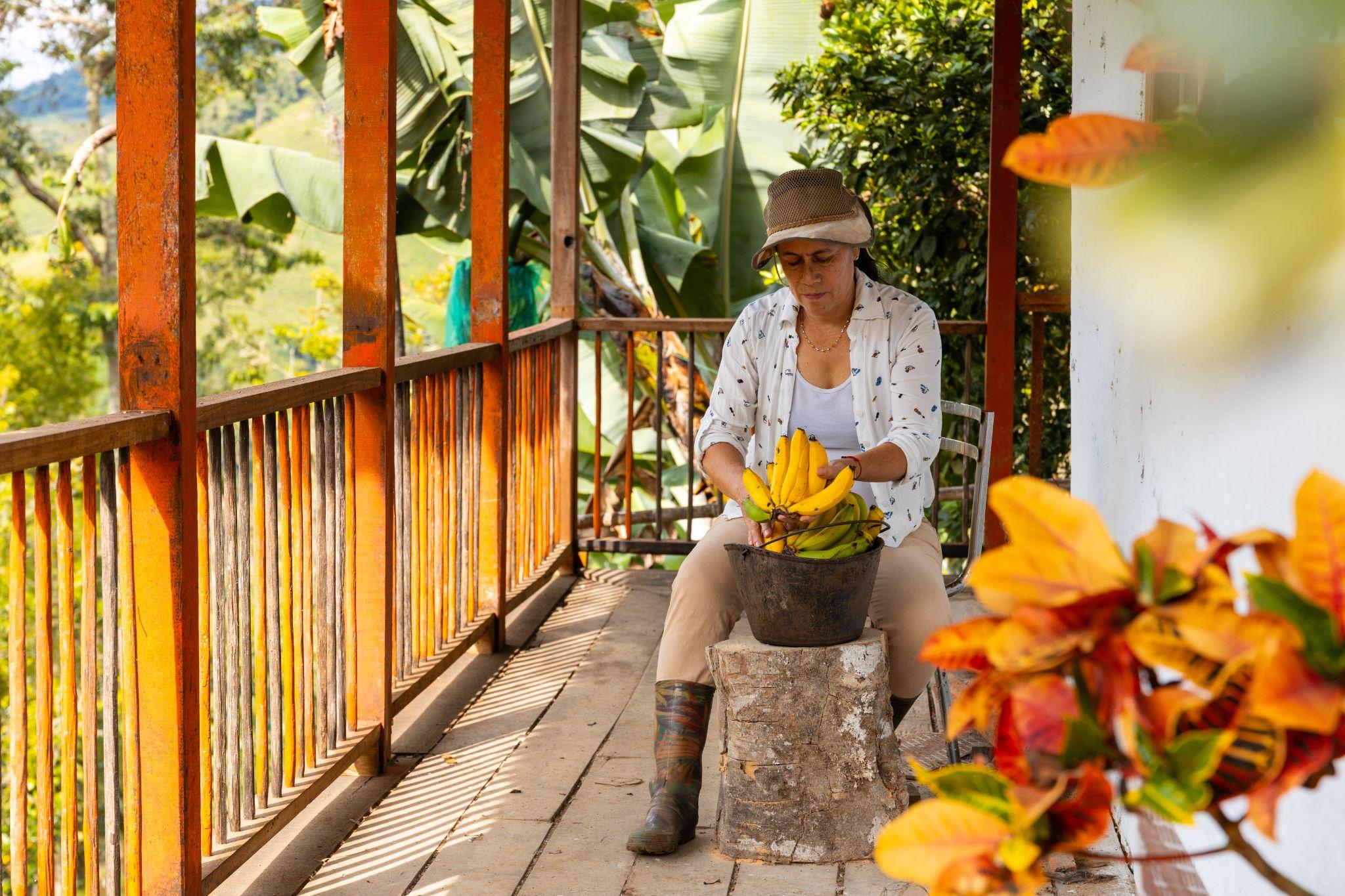 Mujer caminando en un cultivo